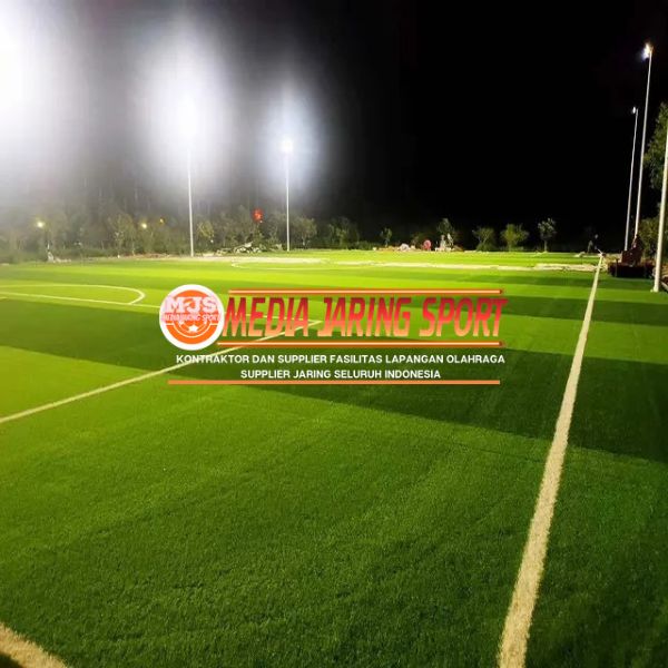 lapangan mini soccer