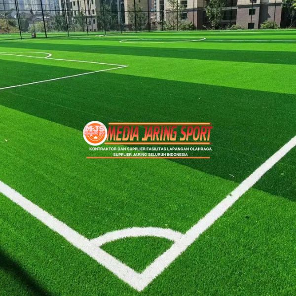 lapangan mini soccer