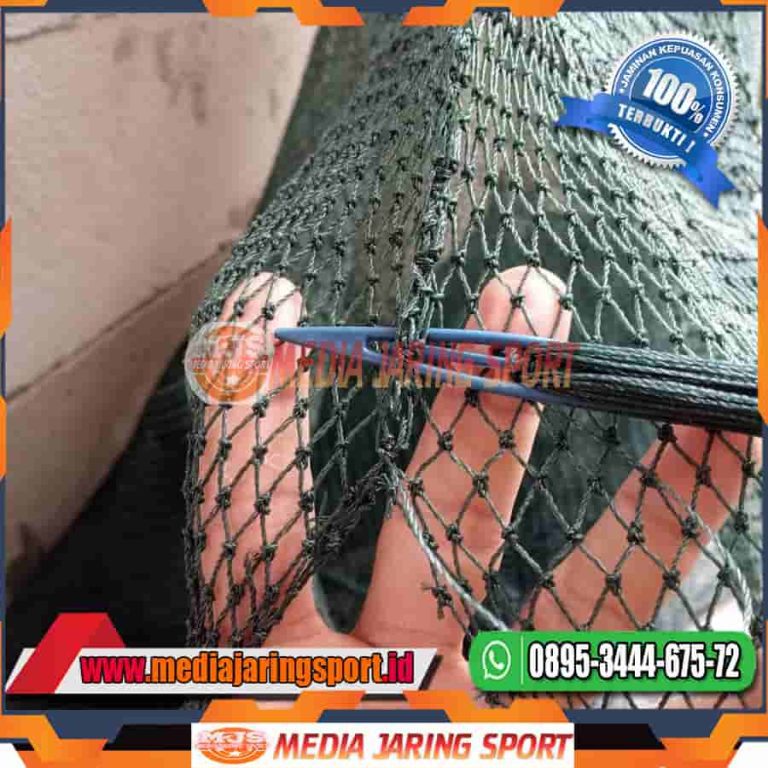 lapangan mini soccer