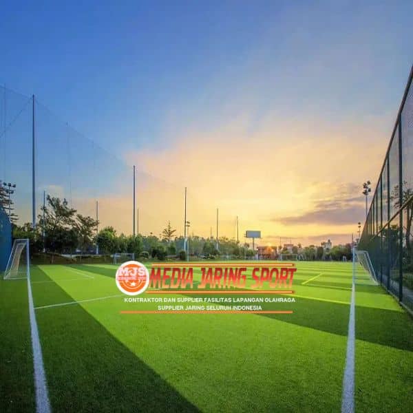 lapangan mini soccer
